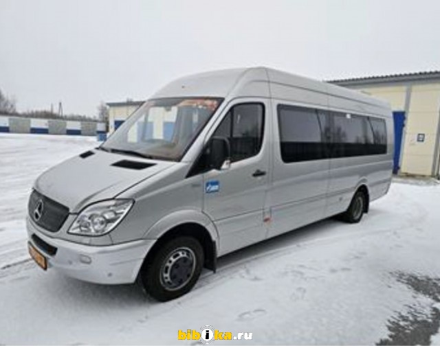Mercedes-Benz Sprinter 519