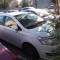 Chery Bonus 3 (A19)