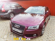 Audi A5  s- line