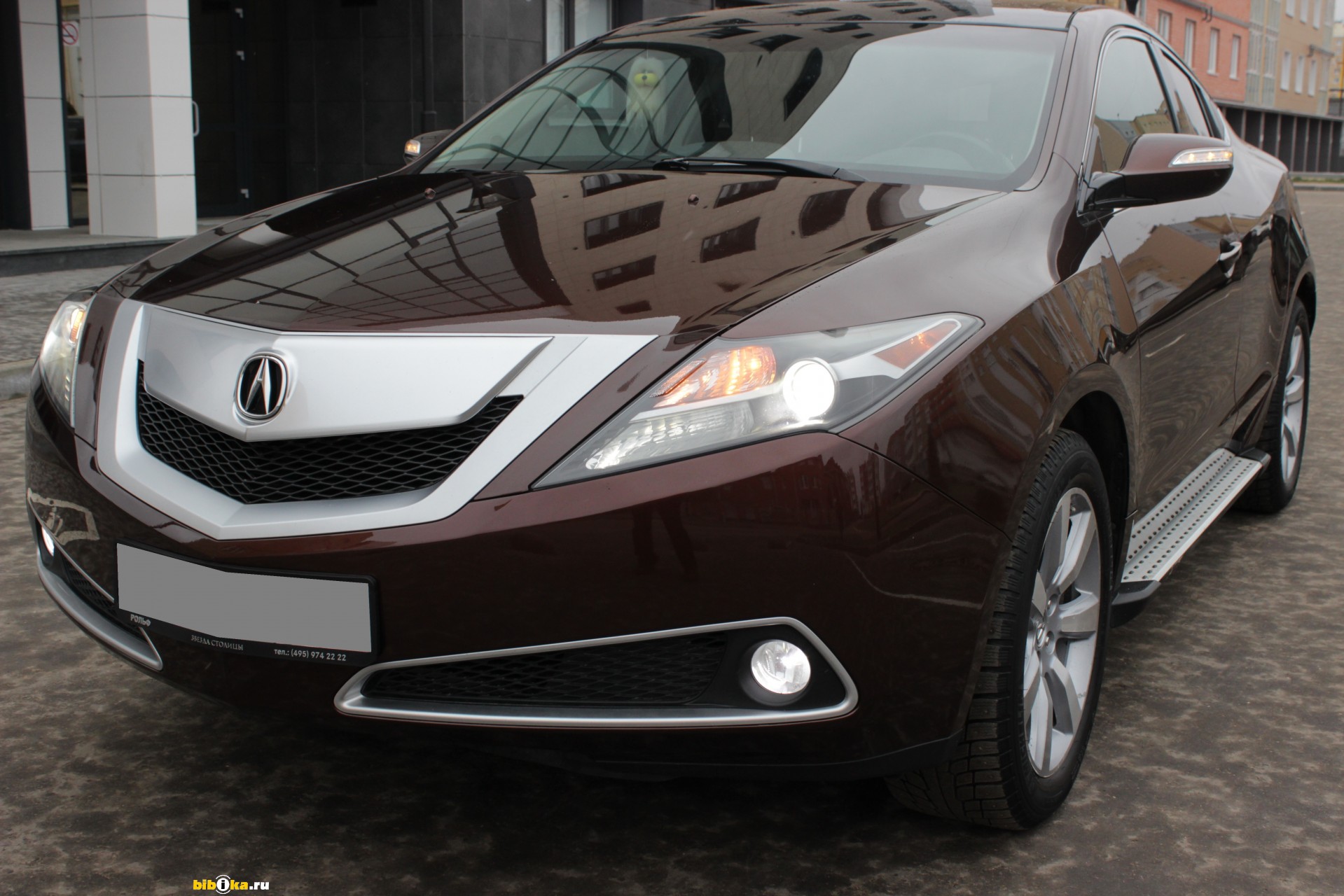 Acura ZDX 2010 коричневый