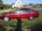 Rover 416