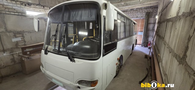 ПАЗ 4230 междугородний 